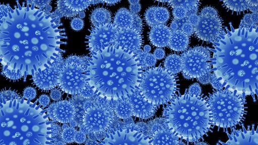 Grippe-Virus, Foto (c): colourbox