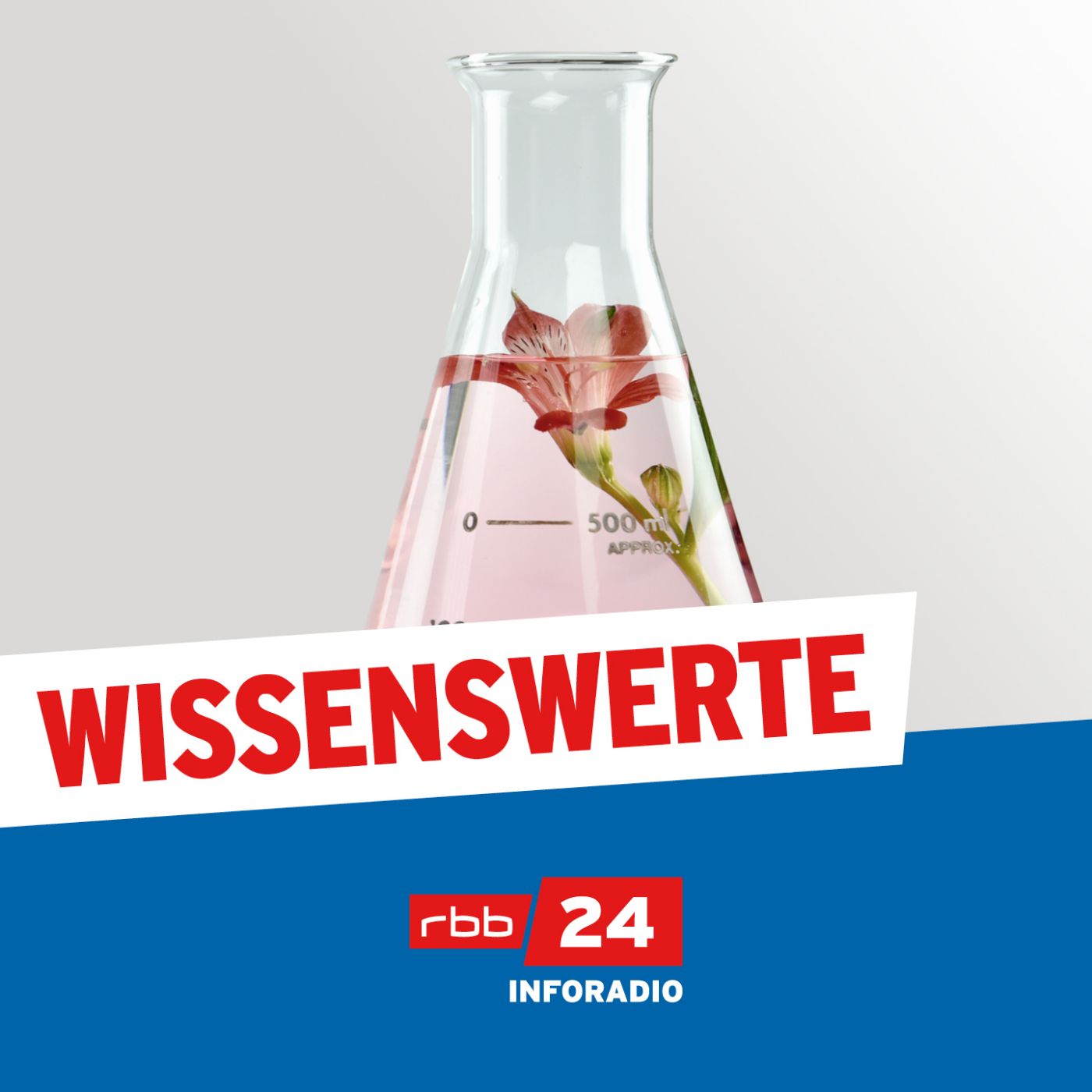 Wissenswerte