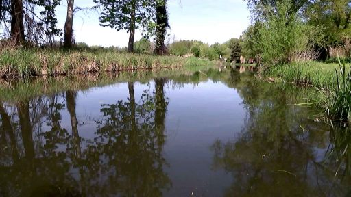 Die Dosse - Fluss