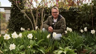 Horst sein Schrebergarten - Narzissen