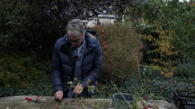 Gartenzeit Tipp: mit Hagebutten basteln Gartenzeit Tipp: mit Hagebutten basteln