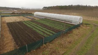rbb Gartenzeit - Tipps von Horst - Wilmars Gaerten