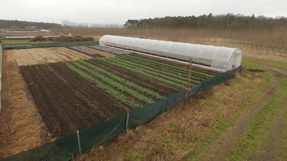 rbb Gartenzeit - Tipps von Horst - Wilmars Gaerten