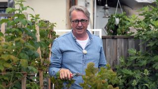 "Horst schneidet Sommerhimbeeren"; © rbb