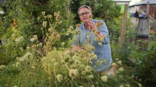rbb Gartenzeit Tipps von Horst sein Schrebergarten - Wilde Möhre