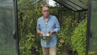 rbb Gartenzeit - Tipps von Horst - Radieschenschoten ernten (Quelle: rbb)