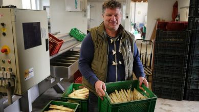 Spargel ohne Folie Spargel ohne Folie