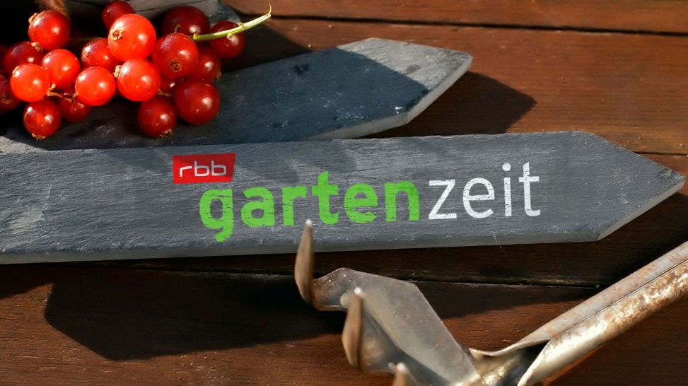 rbb Gartenzeit Logo NEU/HD