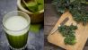 Moringa und Grünkohl (Quelle: imago/Westend61)