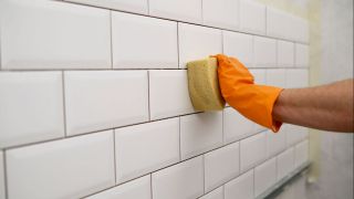Badezimmerfugen werden gereinigt (Quelle: IMAGO/Pond5 Images)
