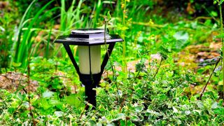 Solargartenleuchte im Beet (Quelle: IMAGO/Zoonar.com/Simone Werner-Ney)
