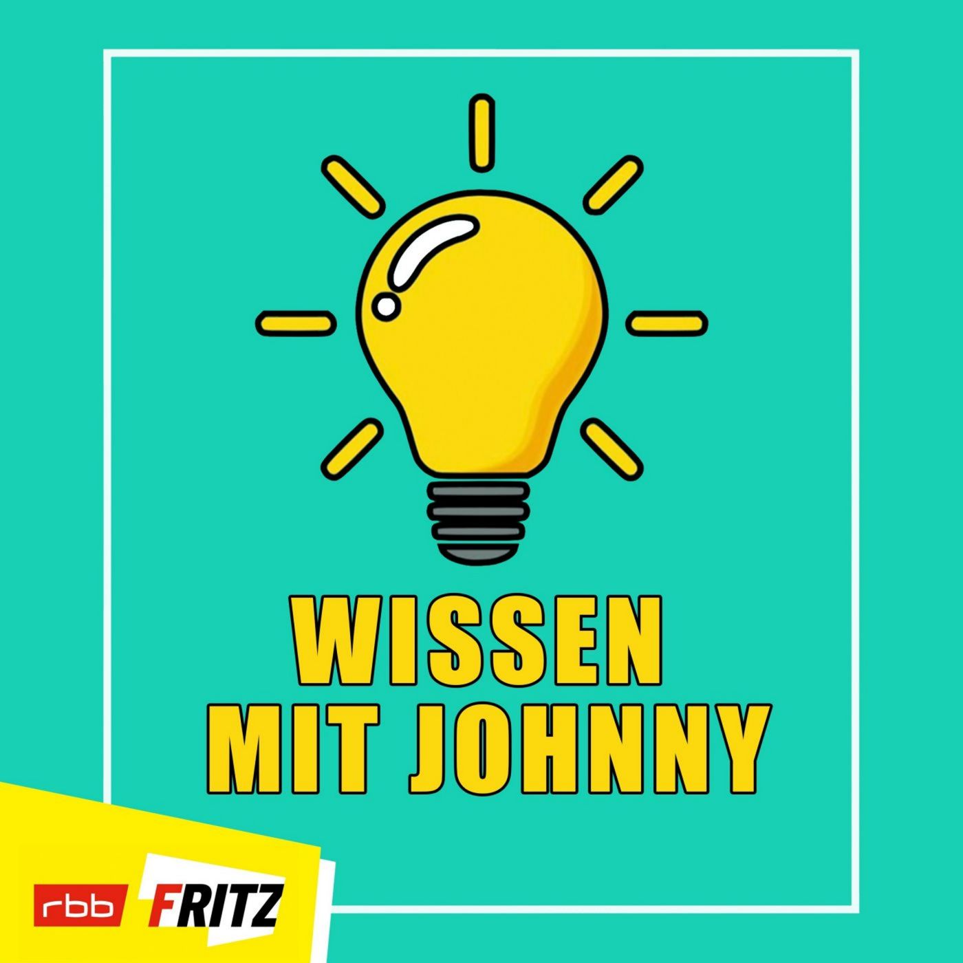 Eine gelbe strahlende Glühbirne auf türkisem Hintergrund mit dem Schriftzug Wissen mit Johnny (Bild: Johnny | Fritz)